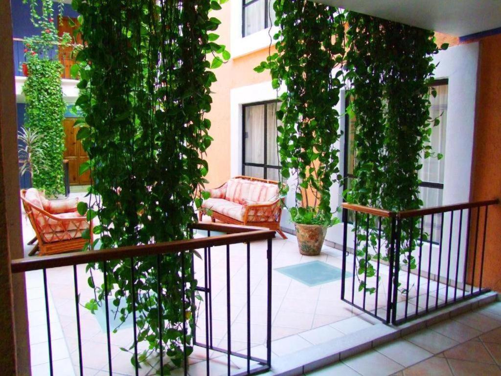 Hotel Oaxaca Dorado ภายนอก รูปภาพ